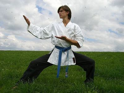 Hoe maak je een martial arts instructeur te worden. Realiseer je eerst dat mensen niet schelen hoeveel karate je weet, wie je getraind met of hoeveel trofeeën je kunt (of niet) hebben gewonnen.