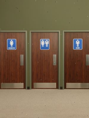 Hoe u veilig gebruik maken van een openbare badkamer. Echter, als je een vrouw bent en gaat voor # 1.